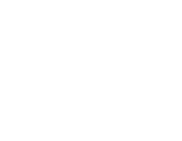 BRAIN CORE NATION